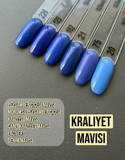 KRALİYET MAVİSİ OJE SETİ