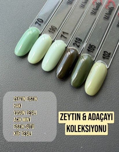 ZEYTİN & ADAÇAYI KOLEKSİYONU OJE SETİ