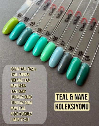 TEAL & NANE KOLEKSİYONU OJE SETİ