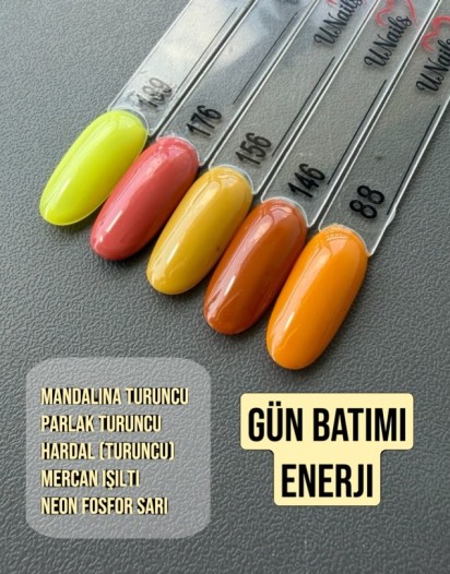 GÜN BATIMI ENERJİ OJE SETİ